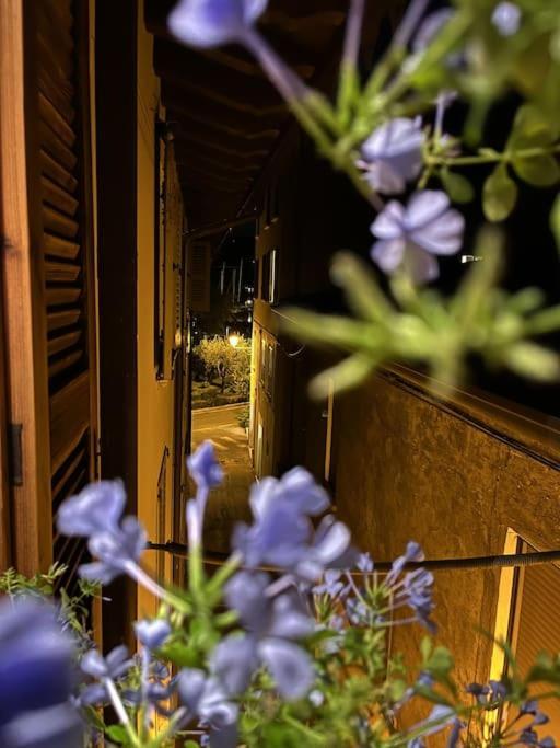 La Piccola Casa Al Lago - Intera Casa Con 3 Camere E 2 Box Salò Zewnętrze zdjęcie