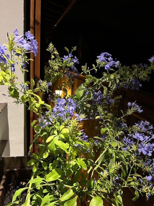La Piccola Casa Al Lago - Intera Casa Con 3 Camere E 2 Box Salò Zewnętrze zdjęcie