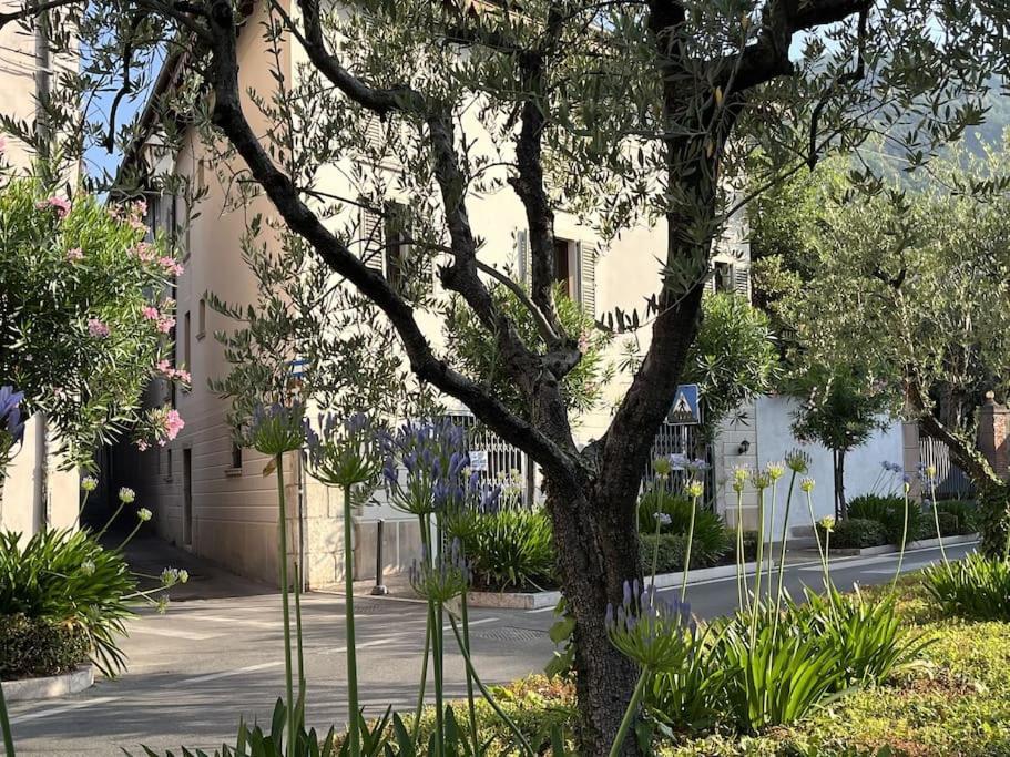 La Piccola Casa Al Lago - Intera Casa Con 3 Camere E 2 Box Salò Zewnętrze zdjęcie